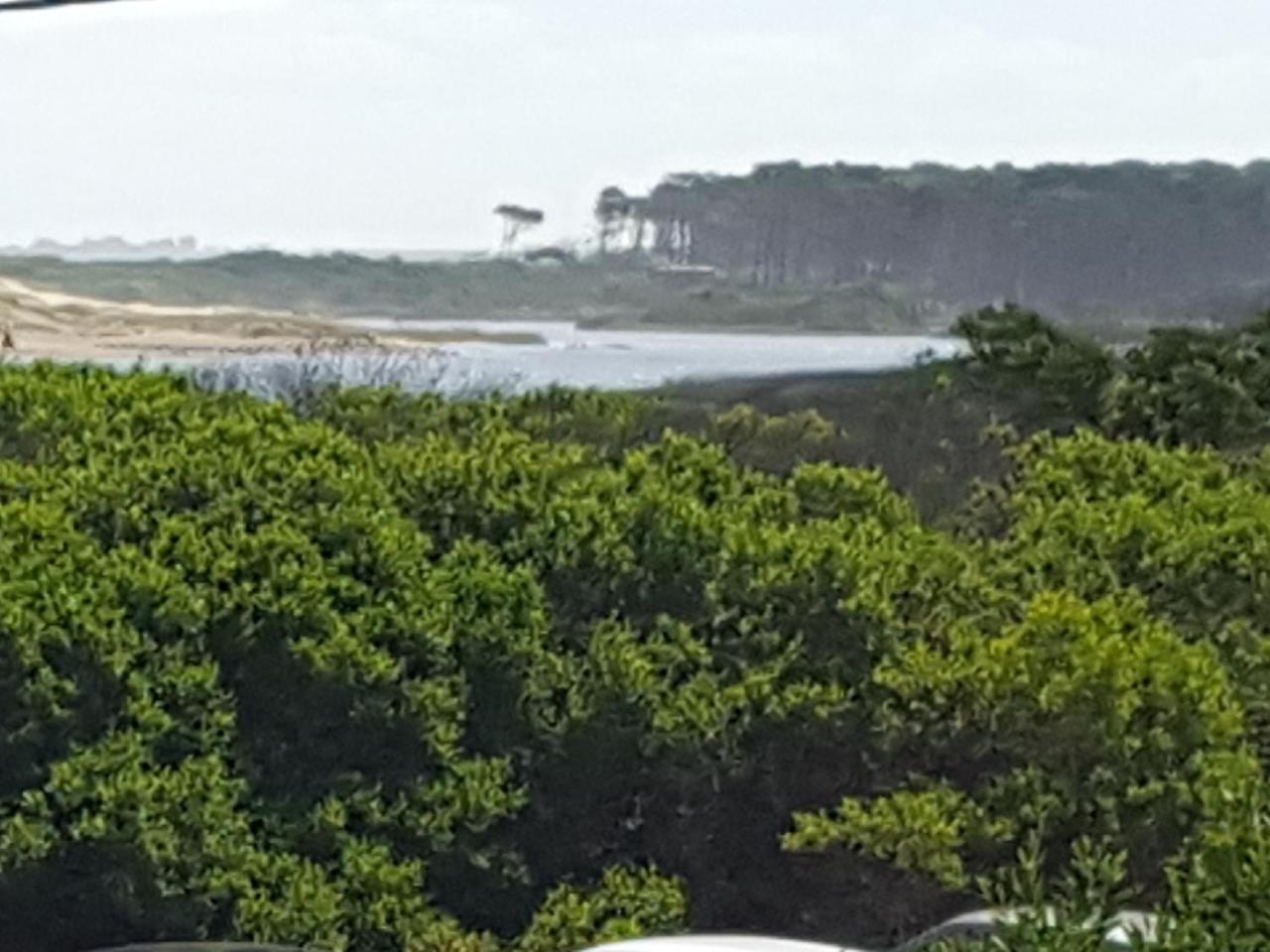 Hotel Playa Chihuahua Punta del Este Luaran gambar